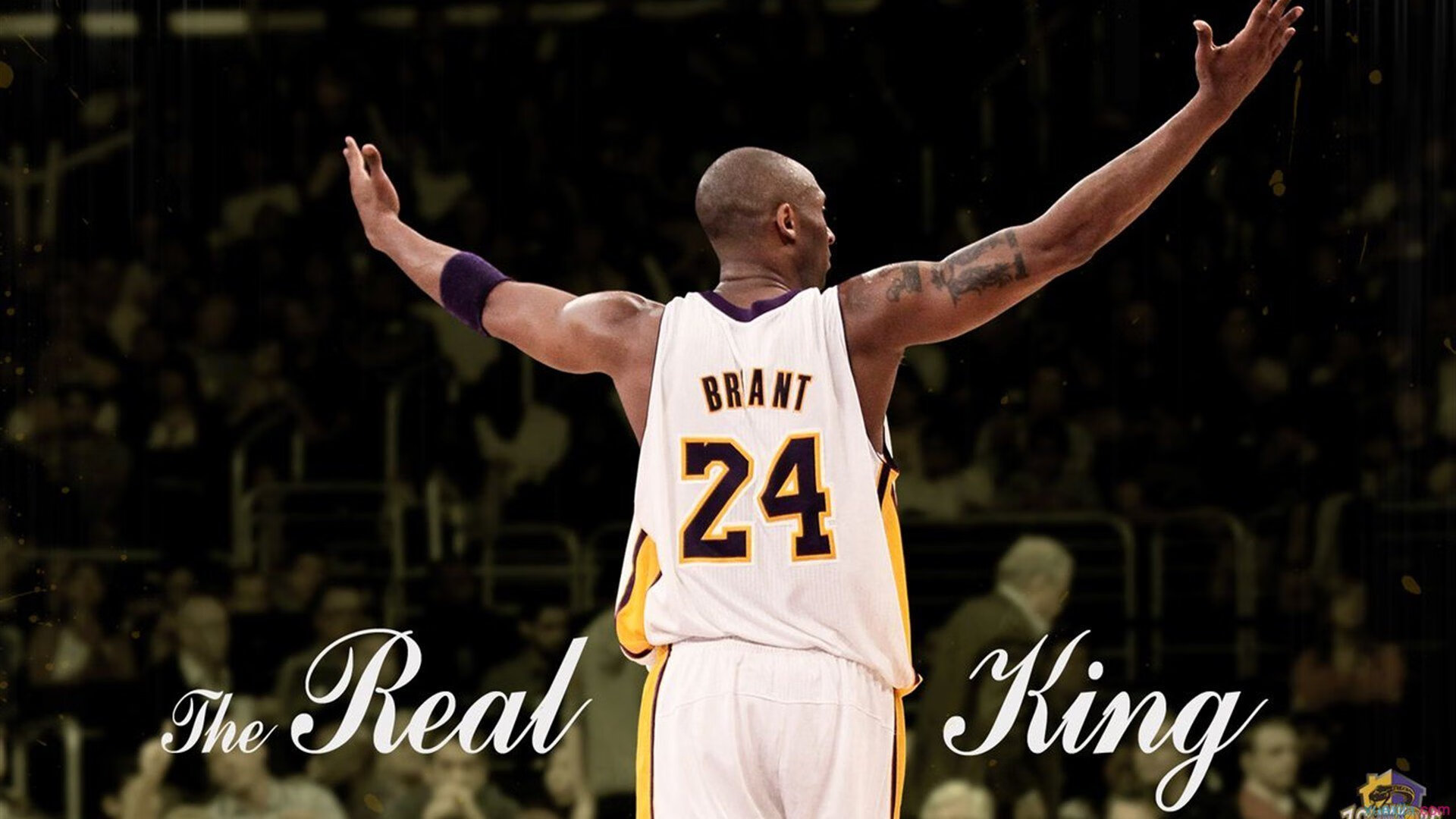 立意一（悬念反差）当CBA全华班遇上NBA级内线，山东的集体智慧，如何碾碎猛龙的个人天赋？
